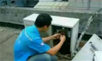 燃气热水器维修-电热水器-空气能热水器维修电话-_中央空调-空调-冰箱-冰柜维修电话-