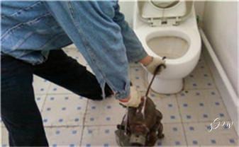 专业下水管道疏通高压车清理清淤清洗市政管道-吸抽化粪池淤泥污水池清掏-地漏马桶堵塞检测维修的附近公司热线电话_高压车疏通下水管道清理淤洗市政管道-专业吸抽化粪池淤泥污水池清掏-地漏马桶堵塞检测维修的公司电话