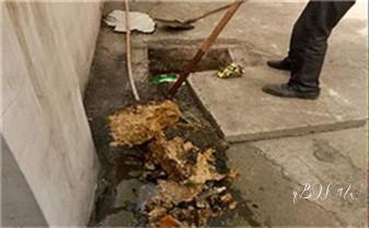 高压车疏通下水管道清理淤洗市政管道-专业吸抽化粪池淤泥污水池清掏-地漏马桶堵塞检测维修的公司电话_下水管道专业疏通-高压车清理清淤清洗市政管道-吸抽化粪池淤泥污水井池清掏-地漏马桶厕所堵塞防臭处理检测维修的附近公司热线电话 高压车疏通下水管道清理淤洗市政管道-专业吸抽化粪池淤泥污水池清掏-地漏马桶堵塞检测维修的公司电话_下水管道专业疏通-高压车清理清淤清洗市政管道-吸抽化粪池淤泥污水井池清掏-地漏马桶厕所堵塞防臭处理检测维修的附近公司热线电话