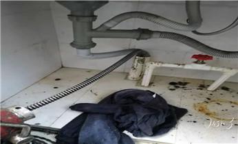 高压车疏通下水管道清理淤洗市政管道-专业吸抽化粪池淤泥污水池清掏-地漏马桶堵塞检测维修的公司电话_专业高压车吸抽清洗清掏清理清淤-市政化粪池-污水油池-淤泥-下水管道疏通--地漏马桶堵塞检测维修的公司电话