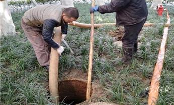 高压车吸抽清洗清掏清理清淤-市政下水管道疏通-化粪池-污水井油池-淤泥-地漏马桶厕所堵塞专业检测维修的公司电话_高压车吸抽清洗清掏清理清淤-市政化粪池-污水油池-淤泥-下水管道疏通--地漏马桶厕所堵塞专业检测维修的公司电话 高压车吸抽清洗清掏清理清淤-市政下水管道疏通-化粪池-污水井油池-淤泥-地漏马桶厕所堵塞专业检测维修的公司电话_高压车吸抽清洗清掏清理清淤-市政化粪池-污水油池-淤泥-下水管道疏通--地漏马桶厕所堵塞专业检测维修的公司电话