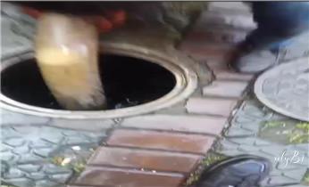 专业高压车清理清淤清洗市政疏通下水管道-吸抽化粪池淤泥污水井池清掏-地漏马桶厕所堵塞维修的附近公司热线电话_高压车吸抽清洗清掏清理清淤-市政化粪池-污水油池-淤泥-下水管道疏通--地漏马桶厕所堵塞专业检测维修的公司电话